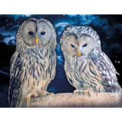 Diamond-Painting-Bild, Eulen 1, 35cm x 25cm, inkl. Werkzeug