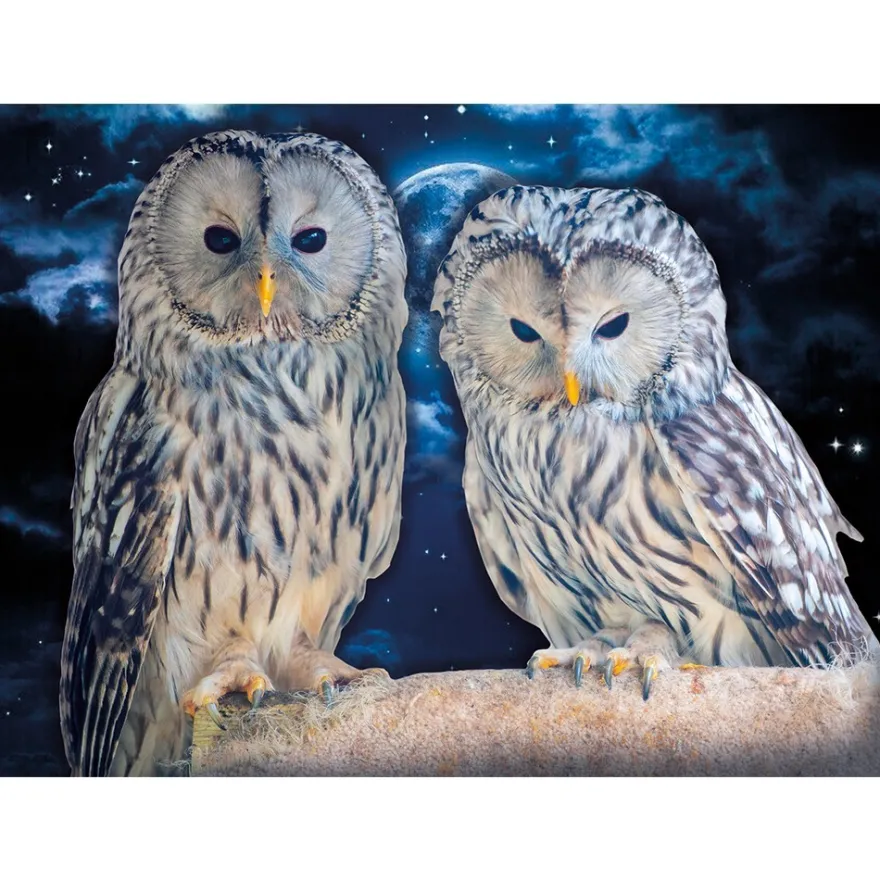 Diamond-Painting-Bild, Eulen 1, 35cm x 25cm, inkl. Werkzeug