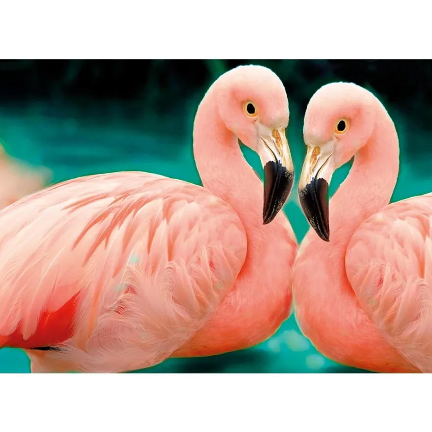 Diamond-Painting-Bild, Flamingos, 25cm x 35cm, inkl. Werkzeug