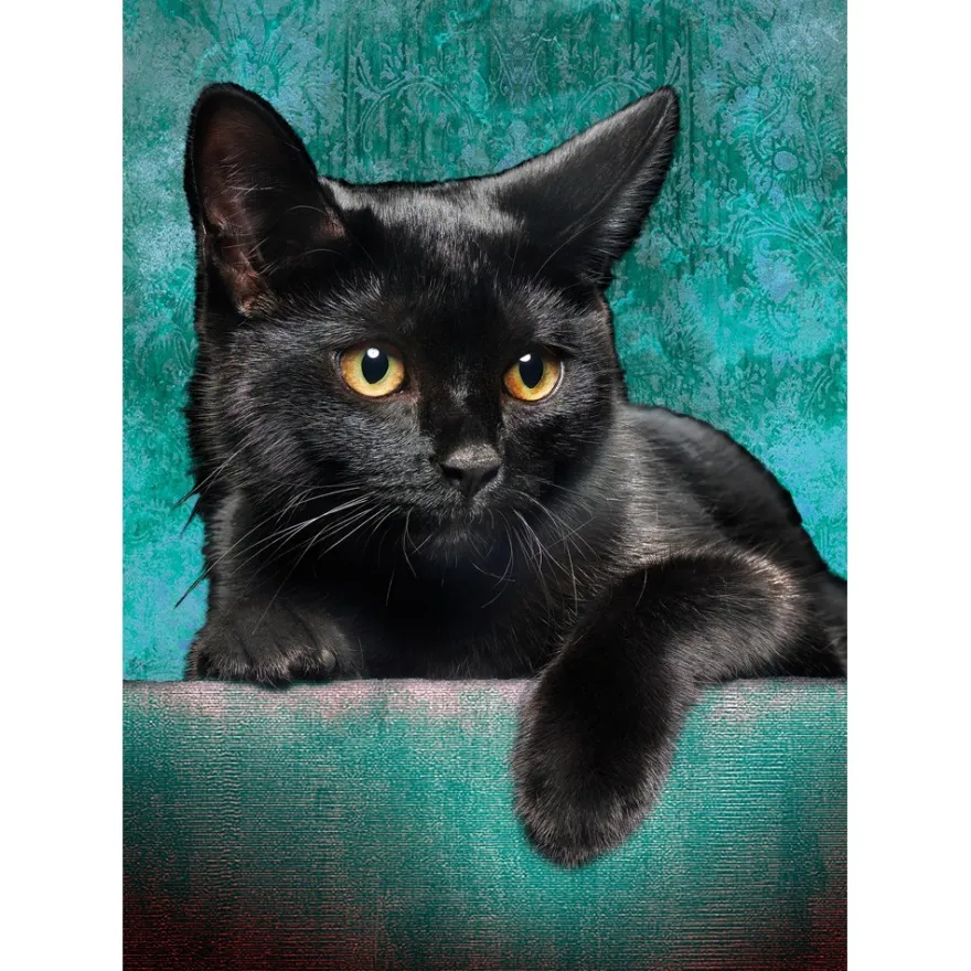 Diamond-Painting-Bild, Katze 3, 25cm x 35cm, inkl. Werkzeug