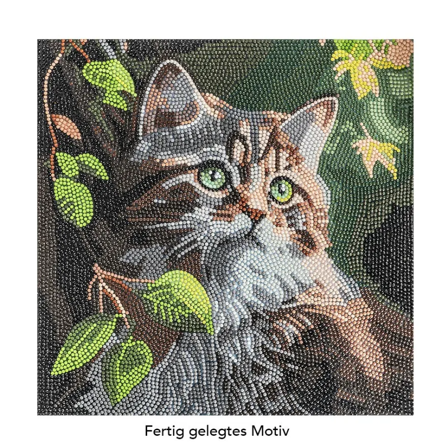 Diamond-Painting-Bild, Katze mit Blättern, 30cm x 30cm, inkl. Werkzeug