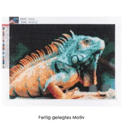 Diamond-Painting-Bild, Leguan, 35cm x 25cm, inkl. Werkzeug