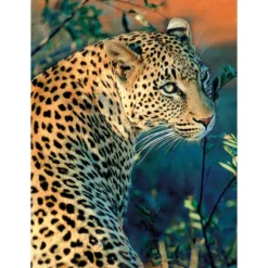 Diamond-Painting-Bild, Leopard, 25cm x 35cm, inkl. Werkzeug