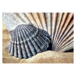 Diamond-Painting-Bild, Muscheln, 25cm x 35cm, inkl. Werkzeug
