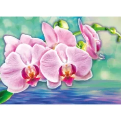Diamond-Painting-Bild, Orchideen, 35cm x 25cm, inkl. Werkzeug