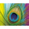 Diamond-Painting-Bild, Pfauenfeder, 25cm x 35cm, inkl. Werkzeug