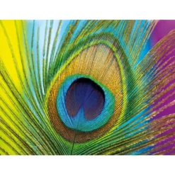 Diamond-Painting-Bild, Pfauenfeder, 25cm x 35cm, inkl. Werkzeug