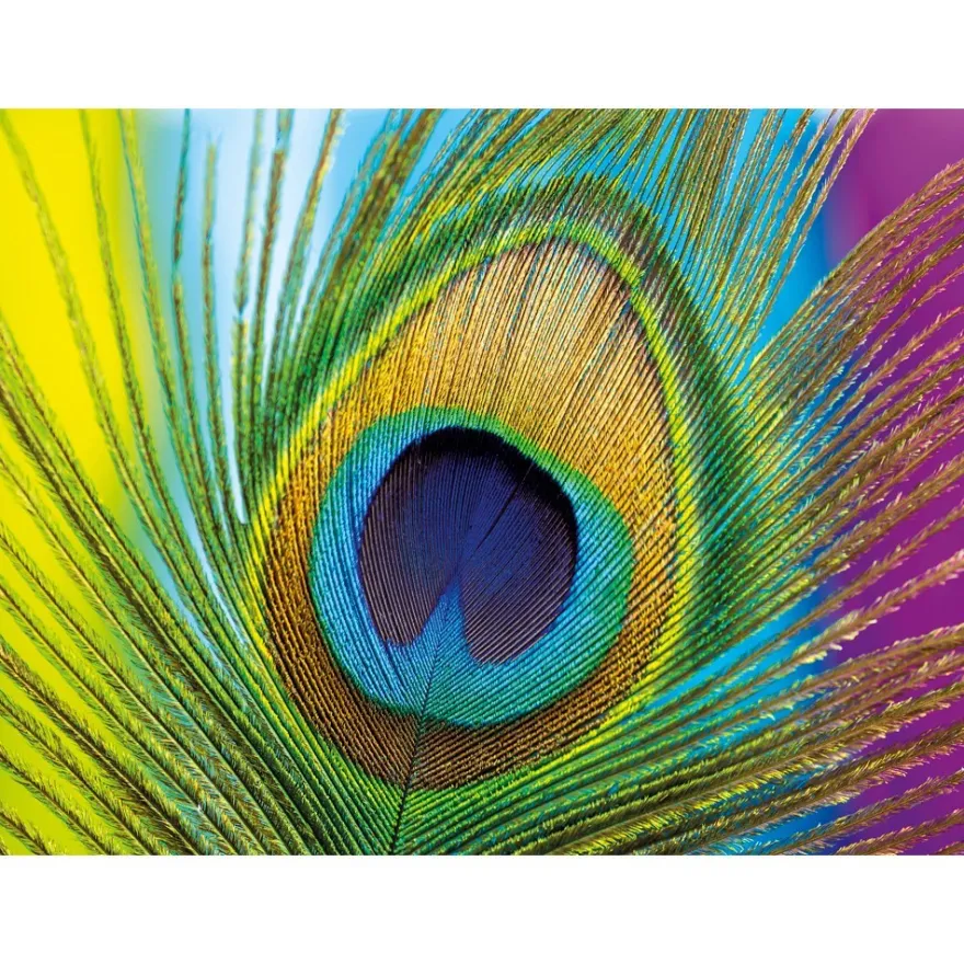 Diamond-Painting-Bild, Pfauenfeder, 25cm x 35cm, inkl. Werkzeug