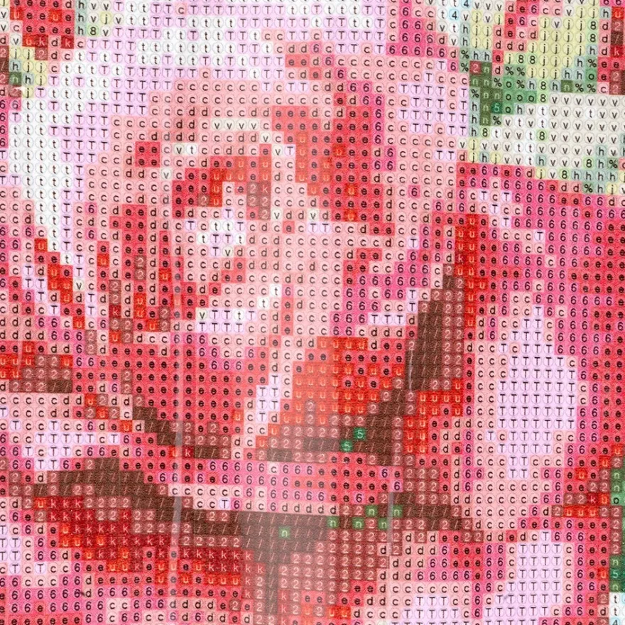 Diamond-Painting-Bild, Rose, 35cm x 25cm, inkl. Werkzeug