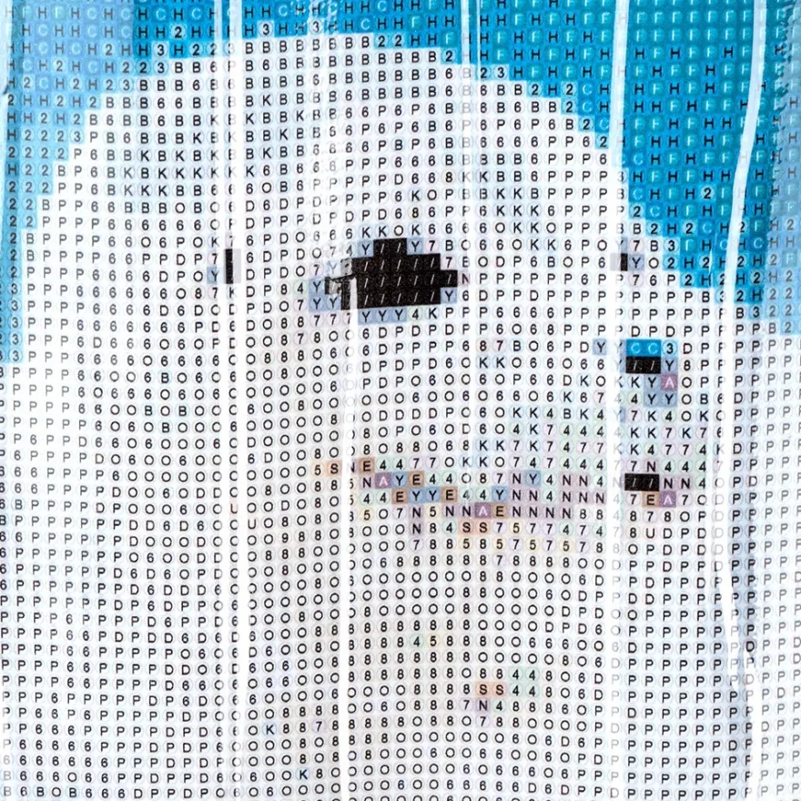 Diamond-Painting-Bild, Seehundbaby, 35cm x 25cm, inkl. Werkzeug