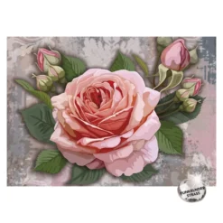 Diamond-Painting-Bild, Strass, Rose mit Knospen 2, 25cm x 35cm, inkl. Werkzeug
