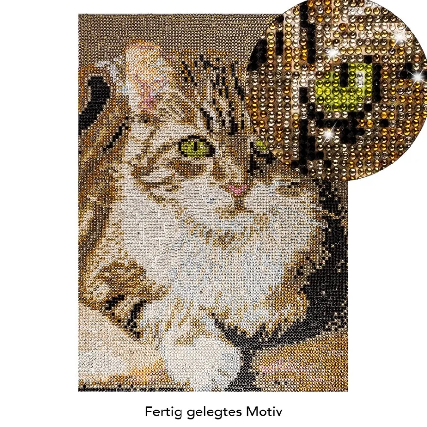 Diamond-Painting-Bild, Strass, Katze 2, 25cm x 35cm, inkl. Werkzeug