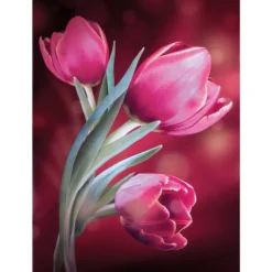 Diamond-Painting-Bild, Tulpen, 25cm x 35cm, inkl. Werkzeug