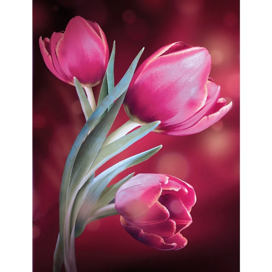 Diamond-Painting-Bild, Tulpen, 25cm x 35cm, inkl. Werkzeug