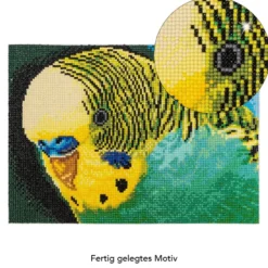 Diamond-Painting-Bild, Wellensittich, 25cm x 35cm, inkl. Werkzeug