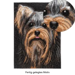 Diamond-Painting-Bild, Yorkshire Terrier, 25cm x 35cm, inkl. Werkzeug