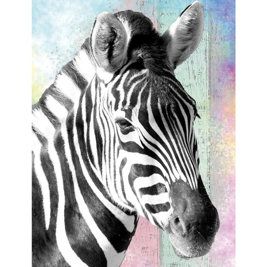 Diamond-Painting-Bild, Zebra, 25cm x 35cm, inkl. Werkzeug