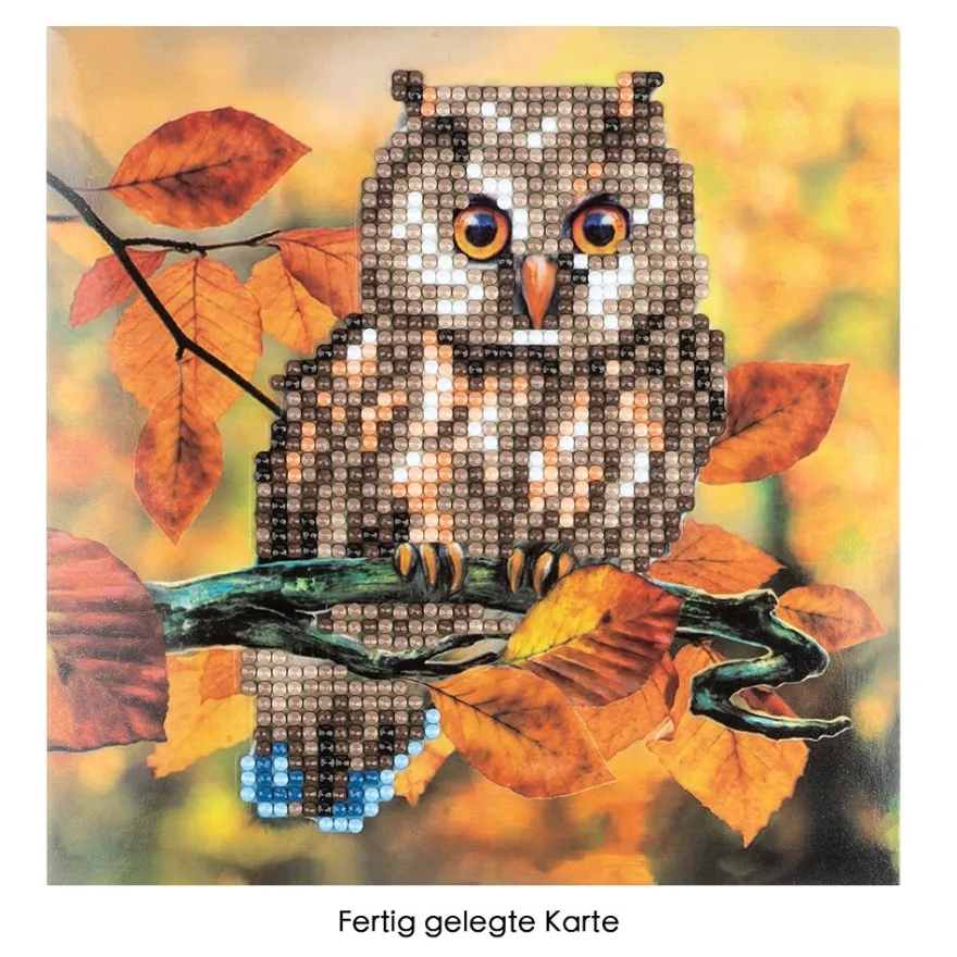 Diamond-Painting-Grußkarte, Eule 1, 16cm x 16cm, inkl. Zubehör