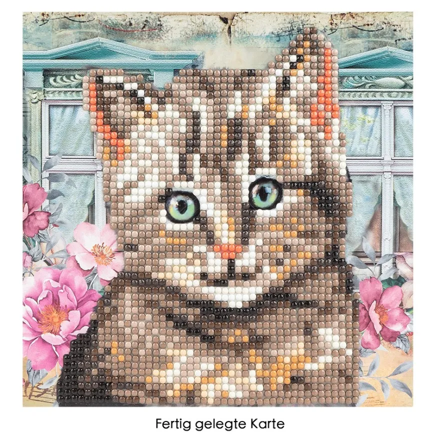Diamond-Painting-Grußkarte, Katze, 16cm x 16cm, inkl. Zubehör