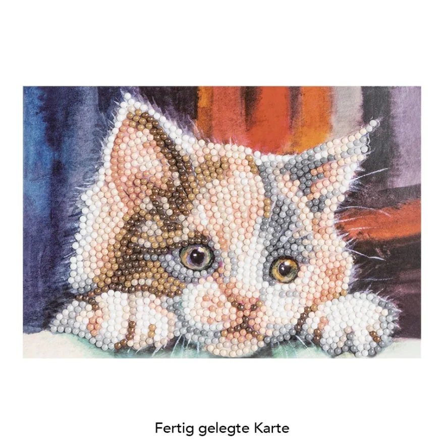 Diamond-Painting-Grußkarte, Katze, 16,5cm x 11,5cm, inkl. Zubehör