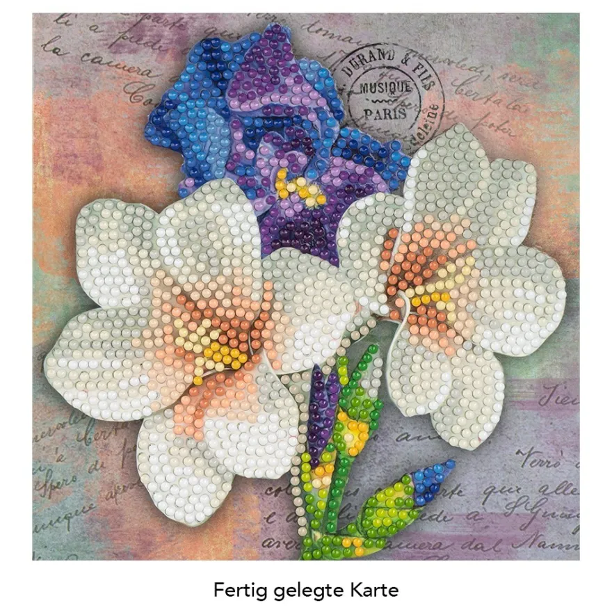 Diamond-Painting-Grußkarte, Lilien und Iris, 16cm x 16cm, inkl. Zubehör