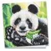 Diamond-Painting-Grußkarte, Panda, 16cm x 16cm, inkl. Zubehör