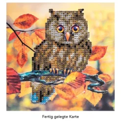 Diamond-Painting-Grußkarte, Strass, Eule 1, 16cm x 16cm, inkl. Zubehör