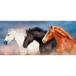 Diamond Painting, Pferde-Trio, 35cm x 75cm, Motivleinwand, runde Steinchen, inkl. Werkzeug