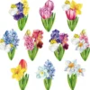 3-D Motive, Frühlingsblumen, 5-9 cm, 10 Stück