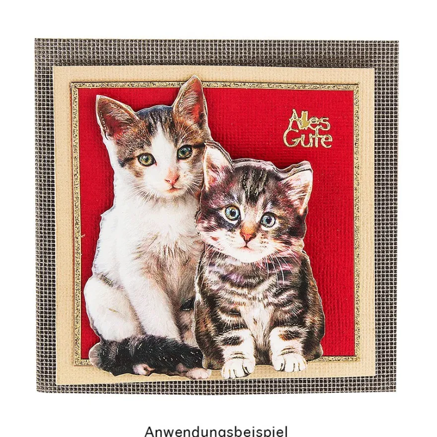 3-D Motive, Niedliche Katzen, 6,5-9cm, 10 Motive
