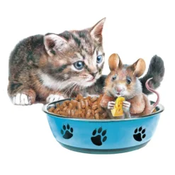 3-D Motive, Niedliche Katzen, 6,5-9cm, 10 Motive