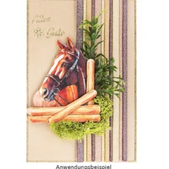 3-D Motive, Pferde, 6,5-10cm, 10 Motive