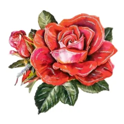 3-D Motive, Vintage-Rosen, 7-9,5cm, 10 Motive