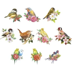 3-D Motive, Wellensittiche & Vögel, 7-9cm, 10 Motive