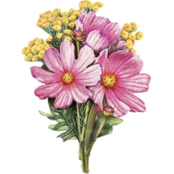 3-D Motive, Wiesenblumen, 6,5-11,5cm, 10 Motive