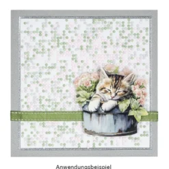 3-D Motive, Zauberhafte Katzen, 6,5-9cm, 10 Motive