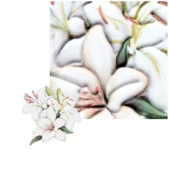 3-D Relief-Sticker, Barockrahmen 4, verschiedene Größen, selbstklebend