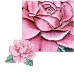 3-D Relief-Sticker, Blumen 5, 21cm x 30cm, verschiedene Größen, selbstklebend