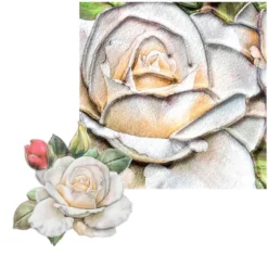 3-D Relief-Sticker, Blumen & Schmetterlinge 1, 21cm x 30cm, verschiedene Größen, selbstklebend