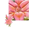 3-D Relief-Sticker, Elegante Lilien 1, 21cm x 30cm, verschiedene Größen, selbstklebend