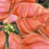 3-D Relief-Sticker, Weihnachtliche Blumen 1, versch. Größen, selbstklebend