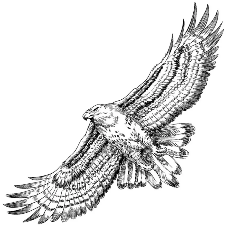 Feinkontur-Stempel, 15 x 15 cm, Adler