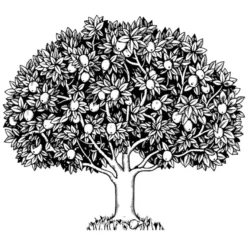 Feinkontur-Stempel, 15 x 15 cm, Baum