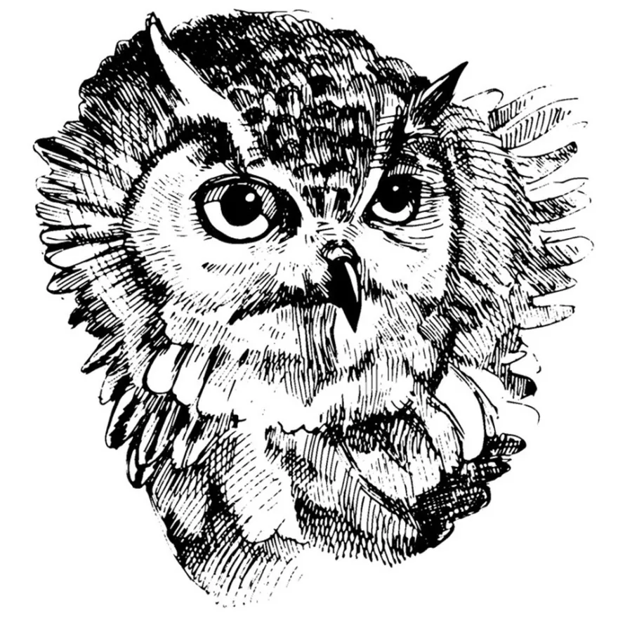 Feinkontur-Stempel, 15 x 15 cm, Eule