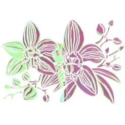 Folien-Bügeltransfer, Orchideen 1, DIN A4, rosé