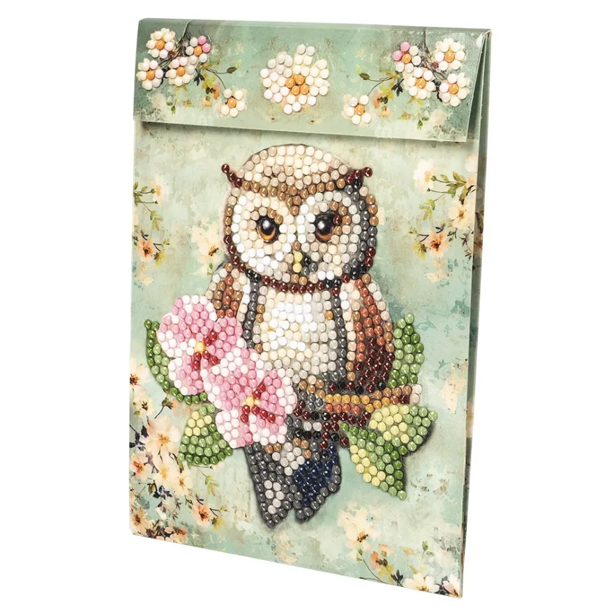 Geschenktaschen-Grußkarte mit Diamond Painting, Eule mit Blume, 16,5cm hoch, inkl. Zubehör