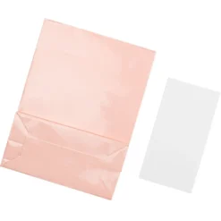 Geschenk-Taschen, klein, 16,2 x 12,2 cm, Pastelltöne, 10 Stück