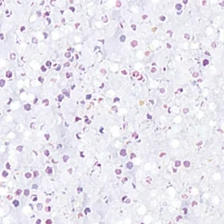 Glitzer-Zerstäuber, Laser-Puderglimmer, 8g, weiß
