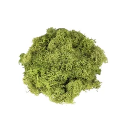 Islandmoos, grün, Naturprodukt, 100g