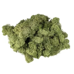 Islandmoos, waldgrün, Naturprodukt, 200g